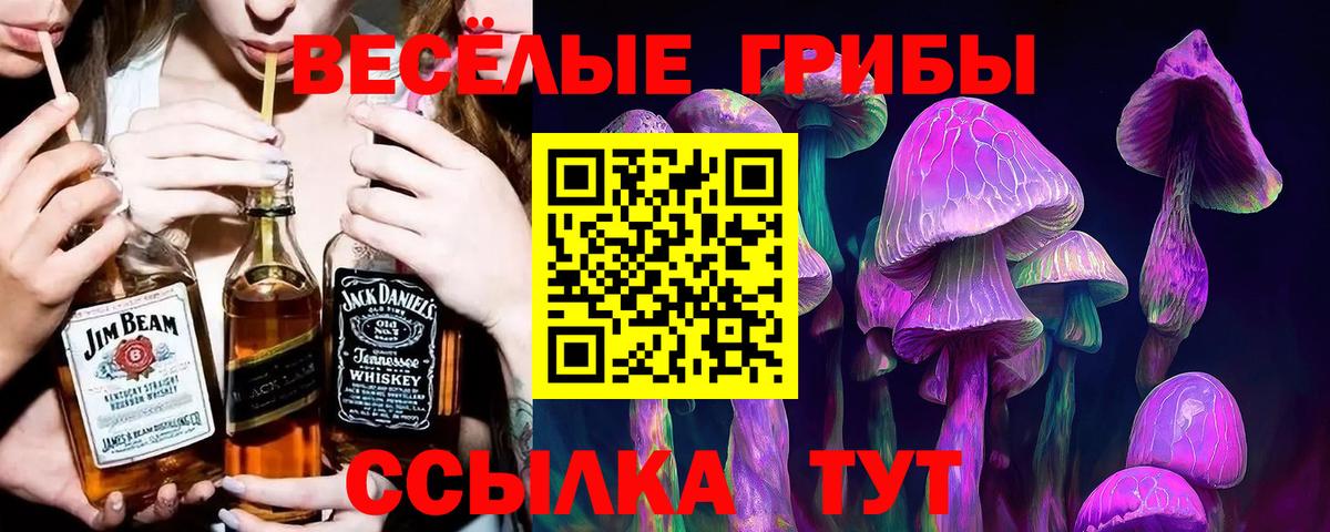 Псилоцибиновые грибы мухоморы Благодарный